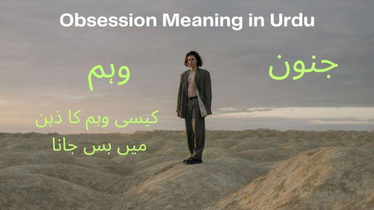 Obsession meaning and Definition